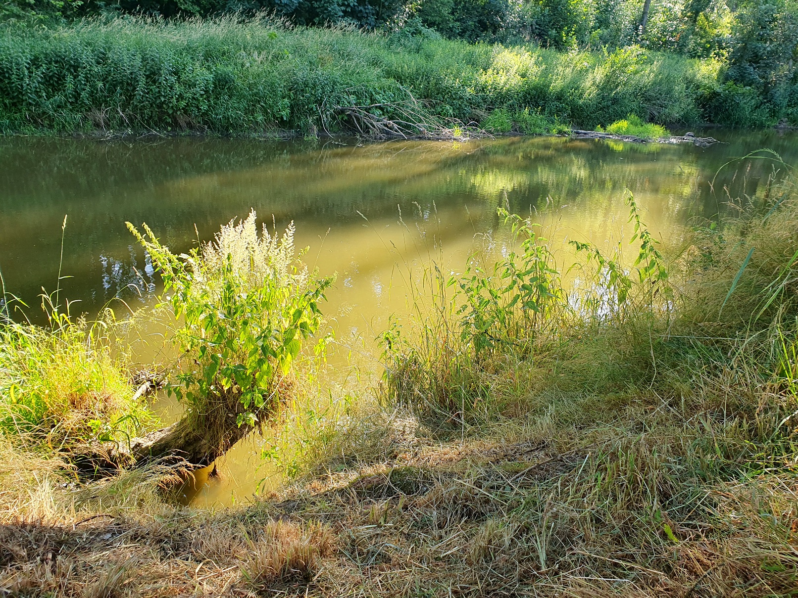 The Origins of Fishing on the Radbuza River: A Historical Perspective