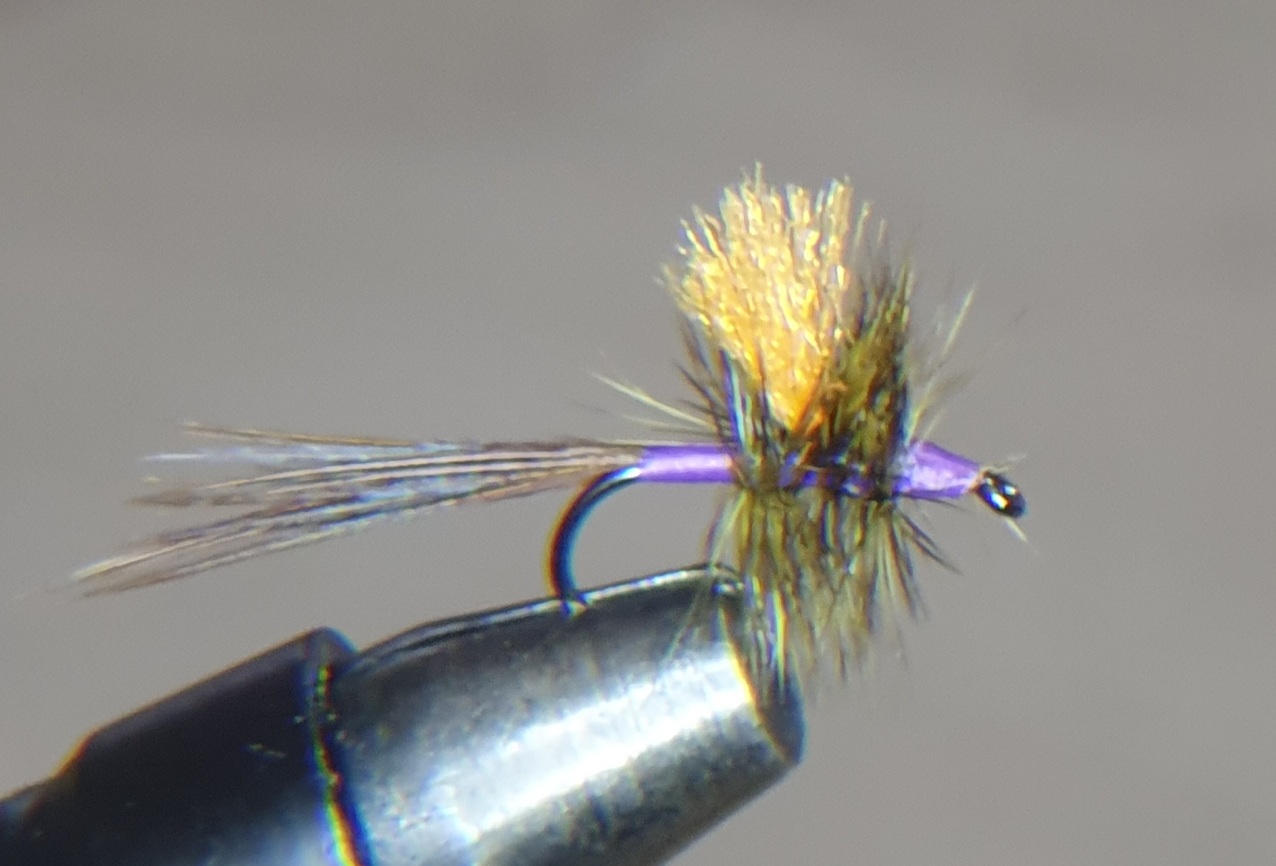 Purple Floaty Thing