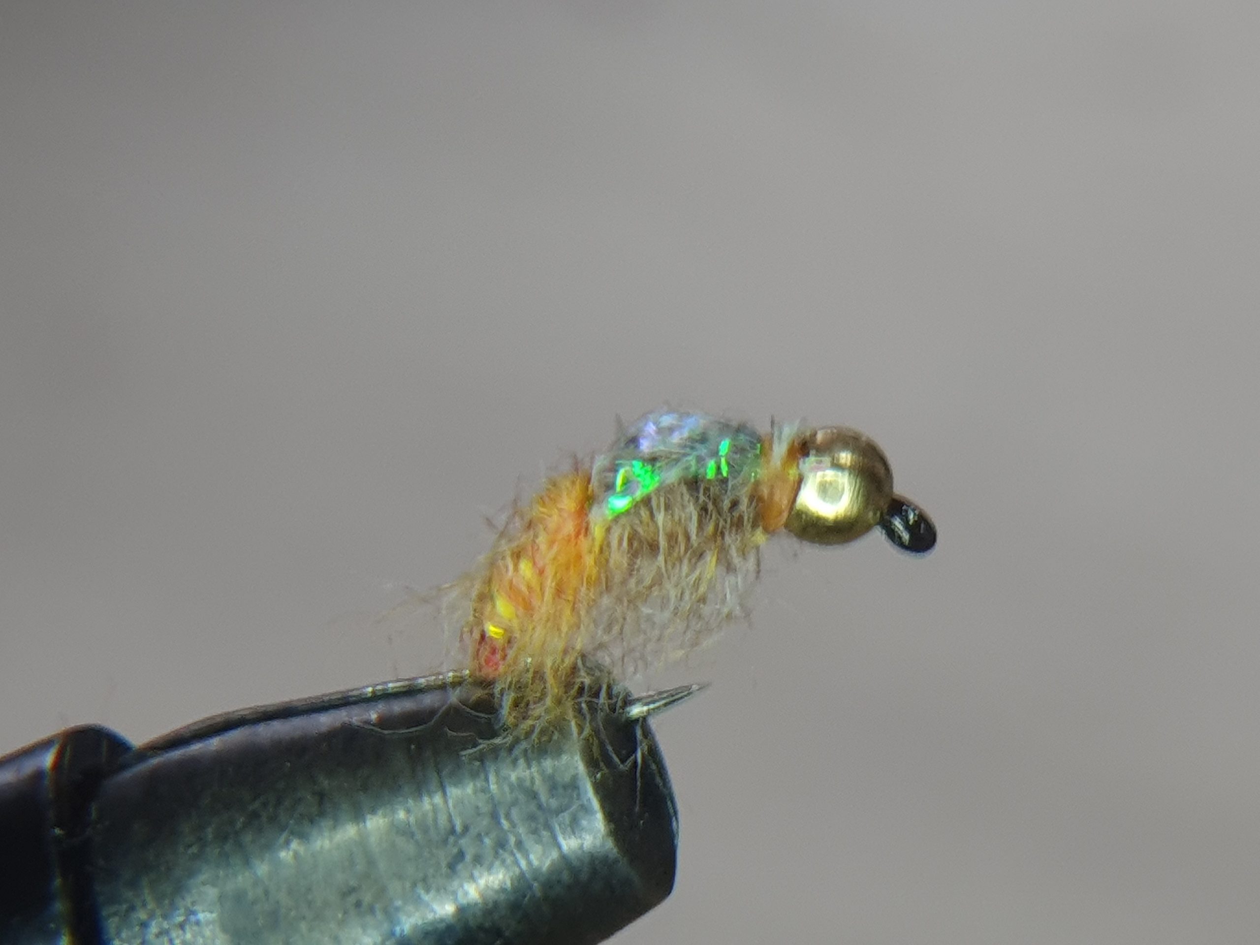 Shiny Caddis Larva