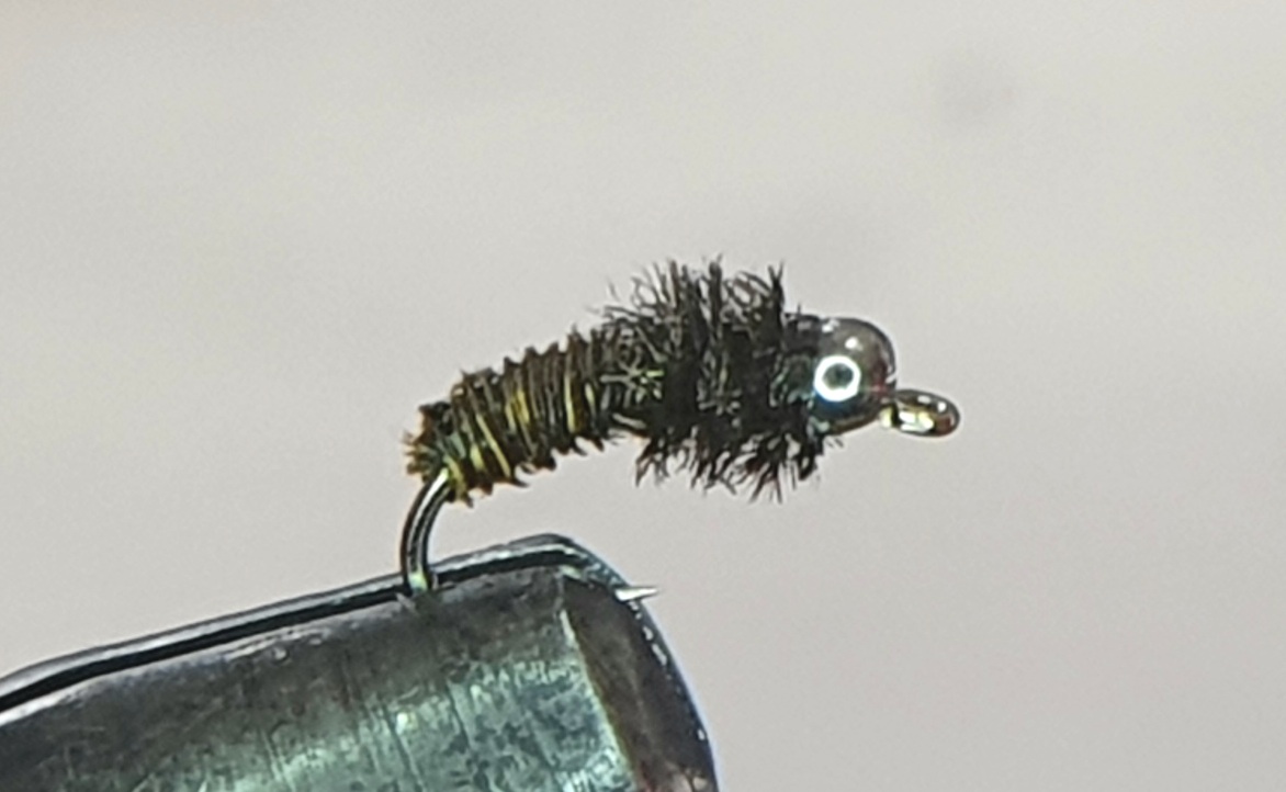Pheasant & Peacock Maggot