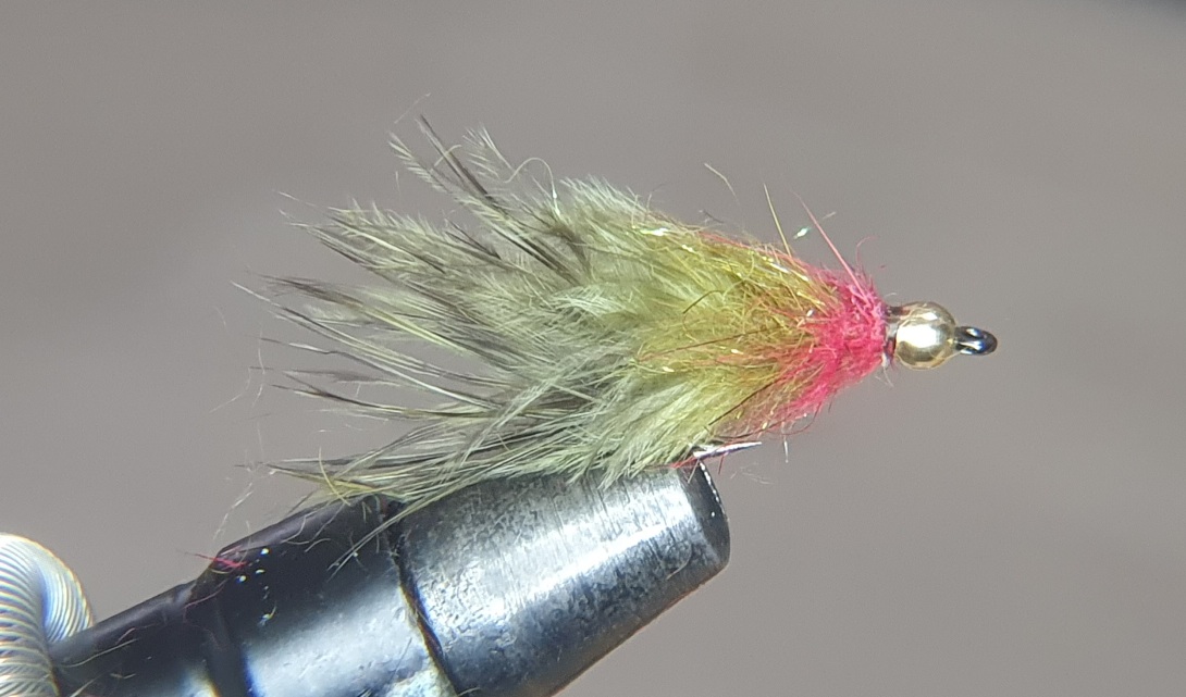 Red & Olive Bug