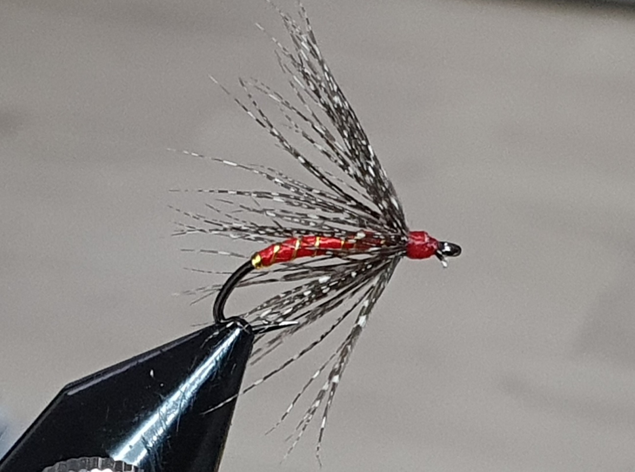 Partridge Soft Hackles