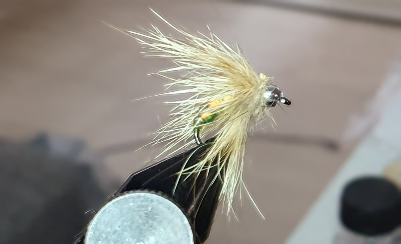Blonde Rabbit