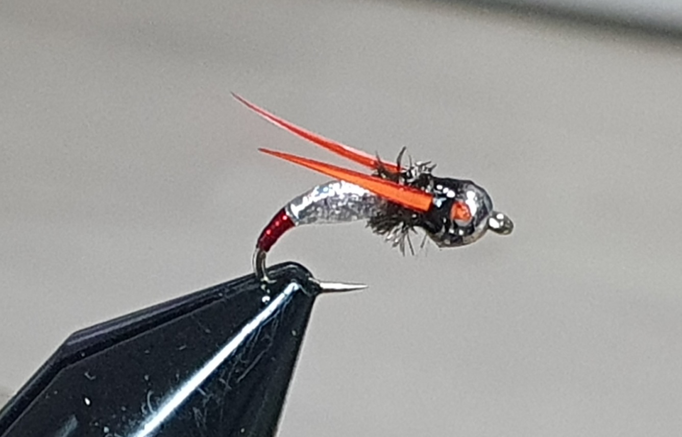 Fry Fly