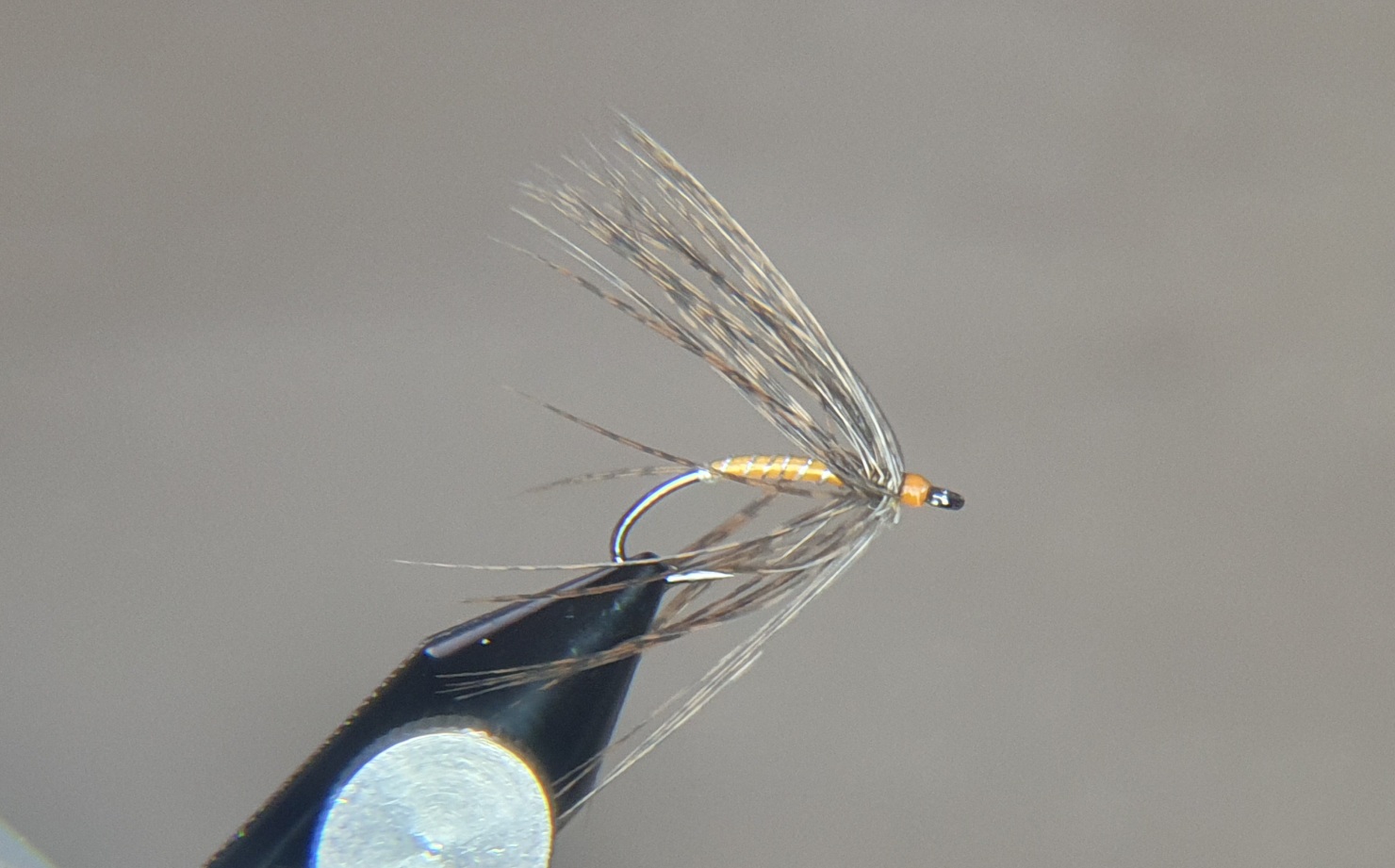 Orange Soft Hackle Spider