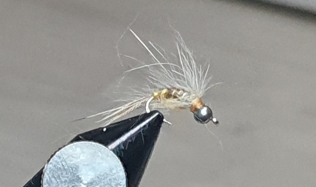 Pheasant Tail 23