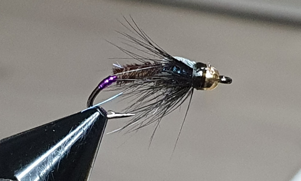Purple Butt Pheasant Tail