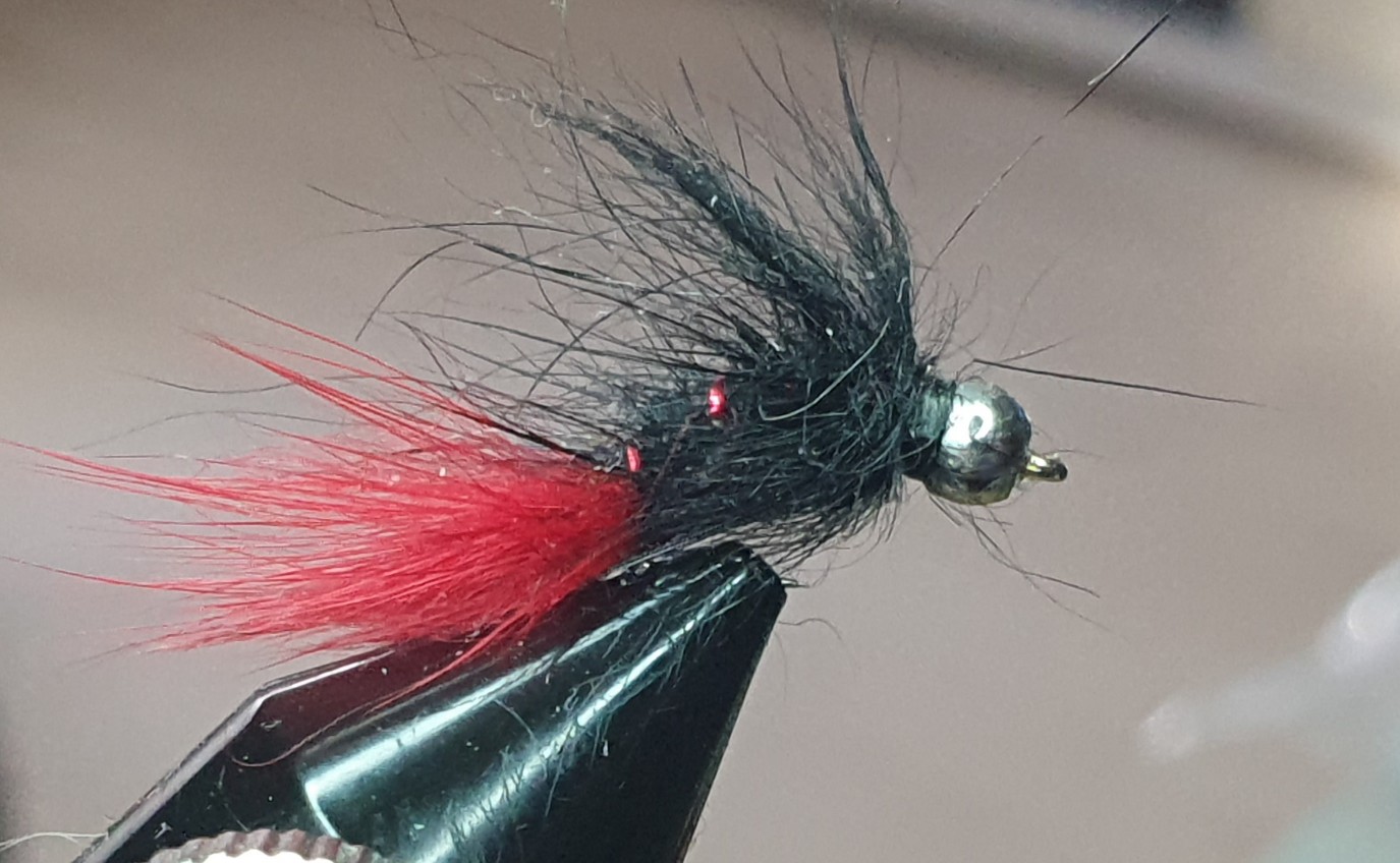 The Buggy Rabbit