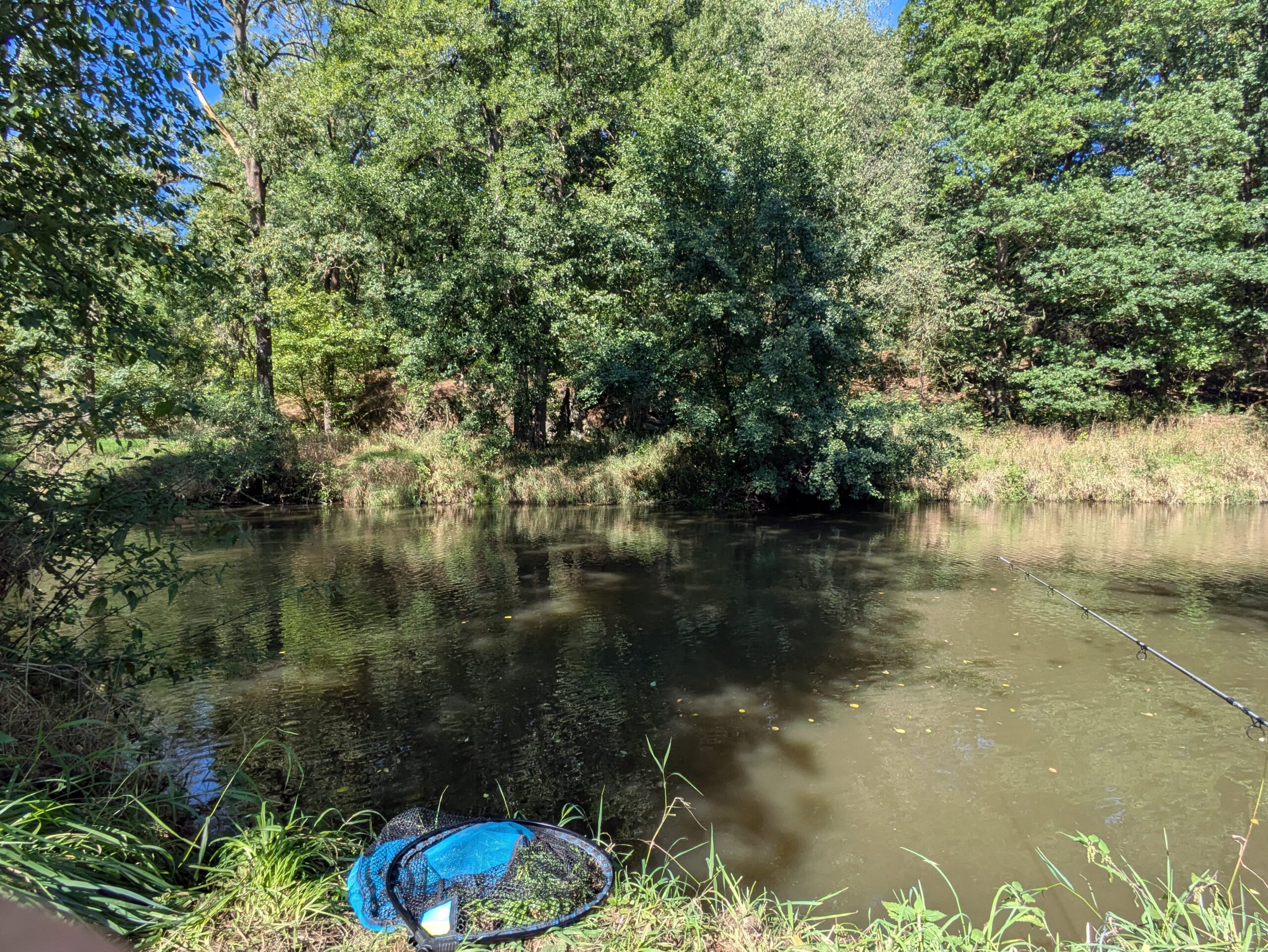 Radbuza River Fish Species