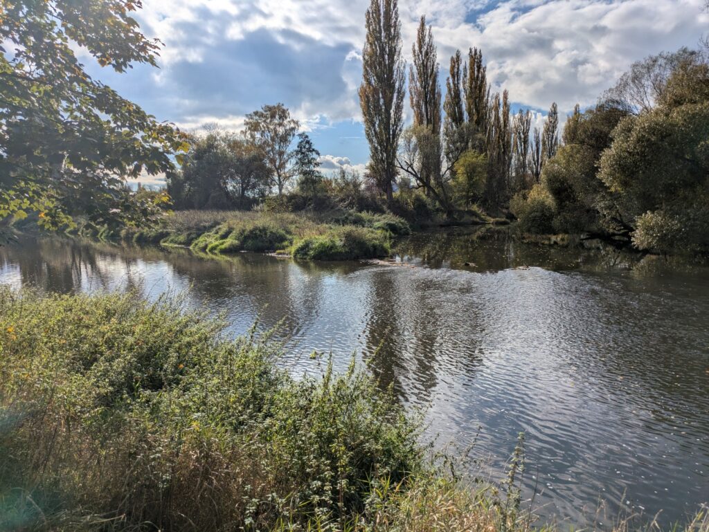 The Berounka river in Plzeň, fishery: 431 025 Mže 1