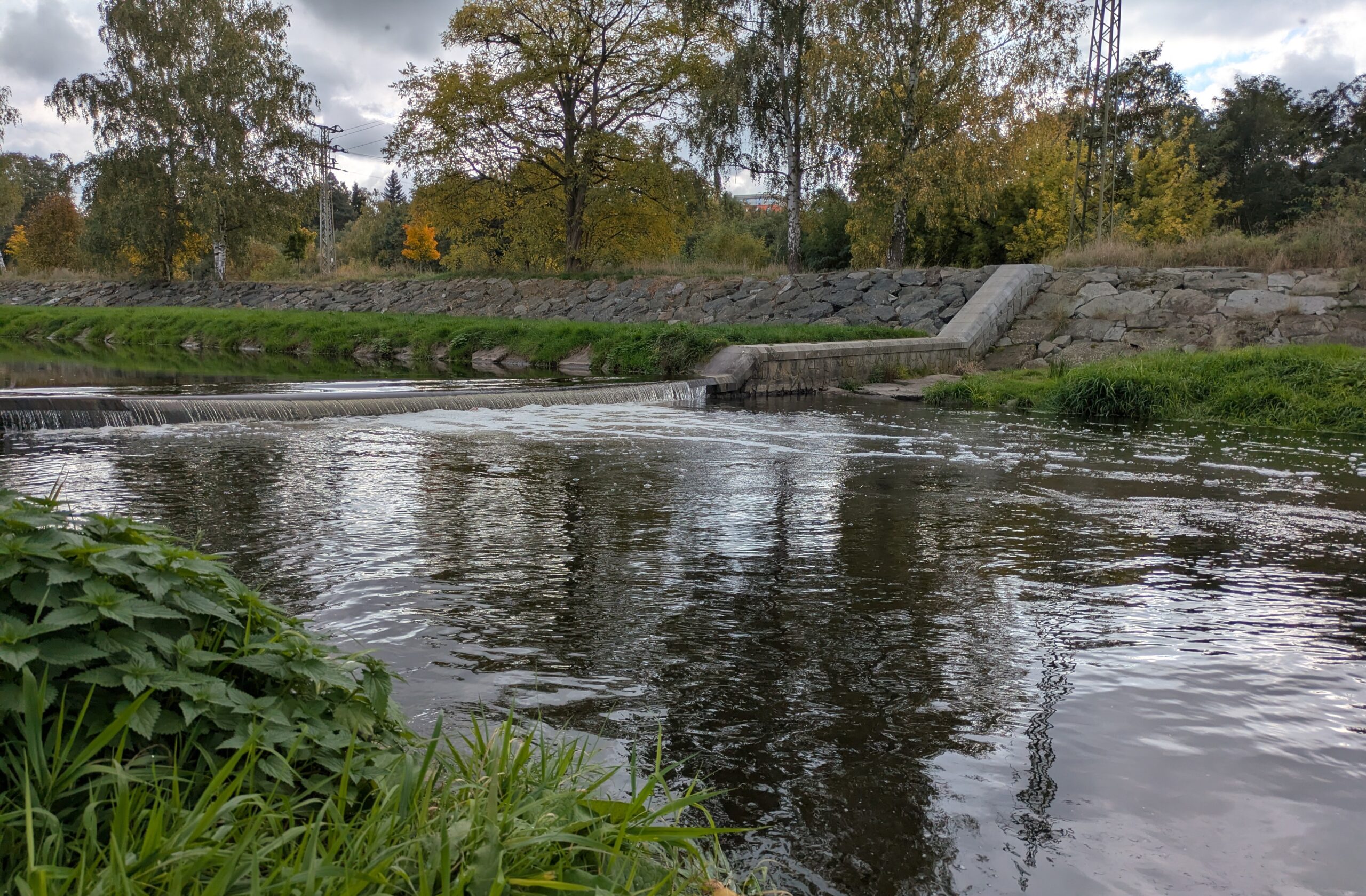 Úslava River Fish Species